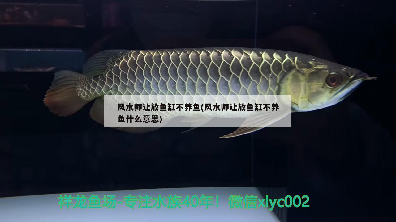 风水师让放鱼缸不养鱼(风水师让放鱼缸不养鱼什么意思)