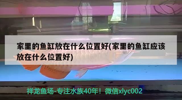 鱼缸里的绿藻怎么办：鱼缸里的绿藻怎么办呢 养鱼的好处 第1张