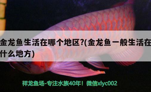 乌鲁木齐高新技术产业开发区翠梅鱼店 全国水族馆企业名录 第1张