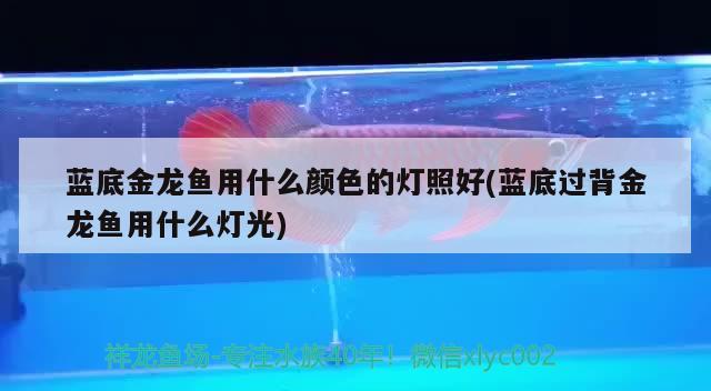 三亚哪里有卖鱼缸的市场多少钱一个，三亚哪里有卖鱼缸的市场啊多少钱一个 红龙专用鱼粮饲料 第3张