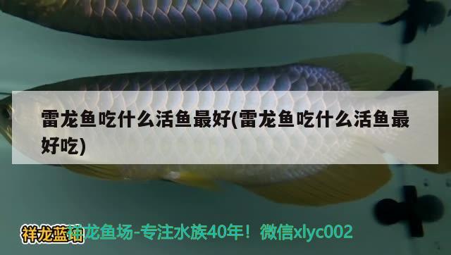 锡林郭勒盟水族馆（打台球有助于颈椎病吗） 养鱼知识 第1张