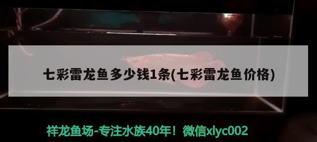 青岛鱼缸批发市场在哪里啊电话地址是多少：青岛哪有做鱼缸的 广州水族批发市场 第1张