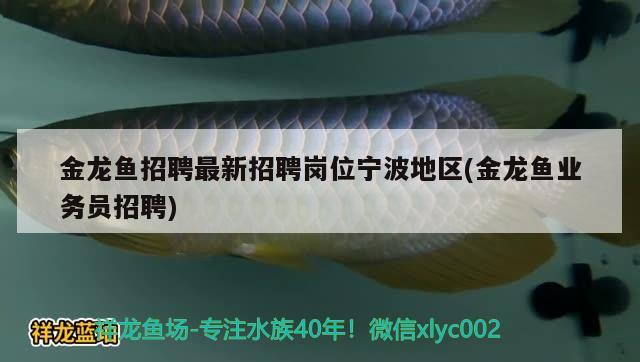 金龙鱼招聘最新招聘岗位宁波地区(金龙鱼业务员招聘)