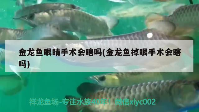 威海水族批发市场几点开门营业的呢（威海水族批发市场在哪里）