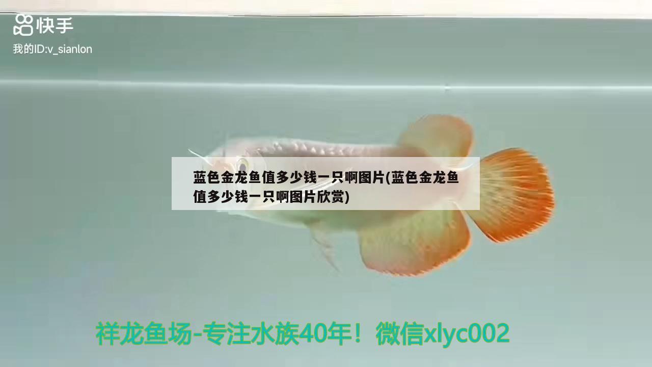 民勤县花仙子水族店 全国水族馆企业名录 第4张