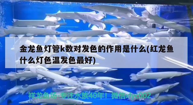 鱼缸二氧化碳使用方法图解视频（鱼缸加热棒的正确使用方法图解）