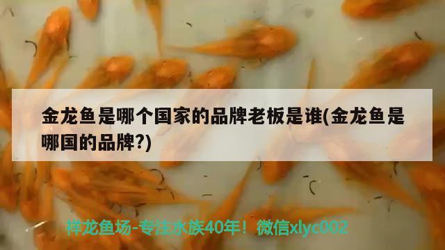 鱼缸铝型材框架制作如何选铝型材规格，3030的鱼缸养几红绿灯