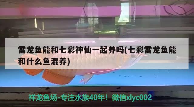 杭州观赏鱼养殖基地地址（杭州观赏鱼价格杭州观赏鱼图片杭州观赏鱼转让）