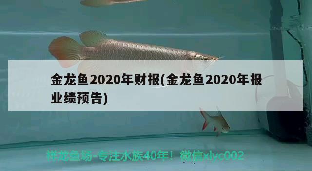 金龙鱼2020年财报(金龙鱼2020年报业绩预告)