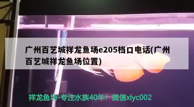 广州百艺城祥龙鱼场e205档口电话(广州百艺城祥龙鱼场位置) 祥龙鱼场