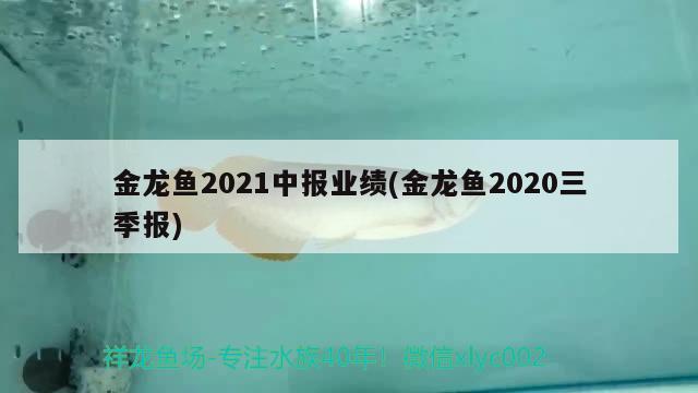 金龙鱼2021中报业绩(金龙鱼2020三季报)