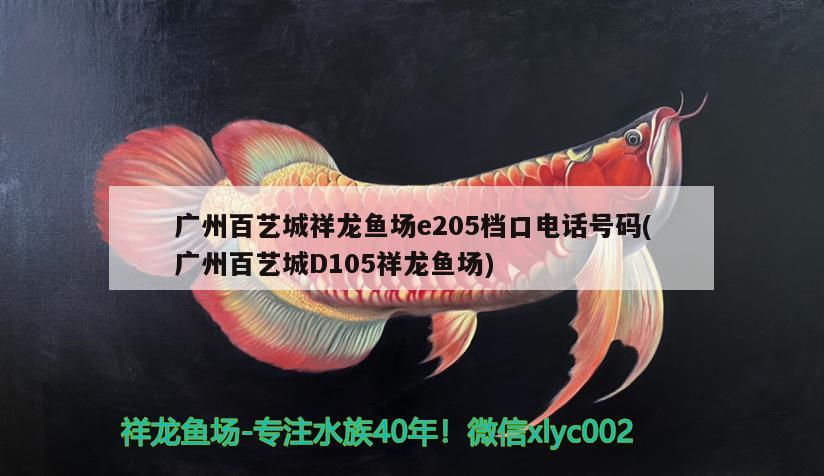 广州百艺城祥龙鱼场e205档口电话号码(广州百艺城D105祥龙鱼场) 祥龙鱼场