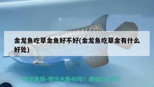 荣成市崖头渔夫钓研水族渔具店 垂钓乐园 第2张