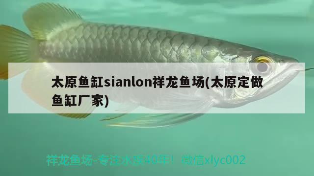 太原鱼缸sianlon祥龙鱼场(太原定做鱼缸厂家)