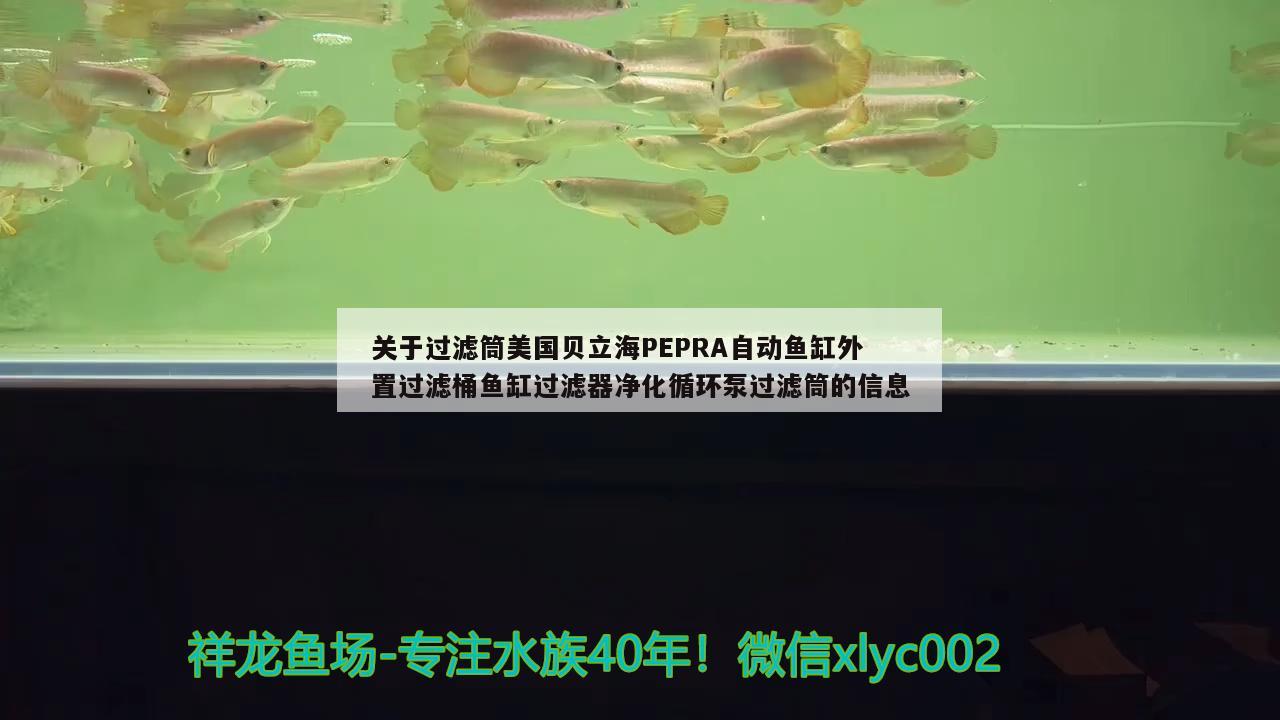 关于过滤筒美国贝立海PEPRA自动鱼缸外置过滤桶鱼缸过滤器净化循环泵过滤筒的信息 垂钓乐园