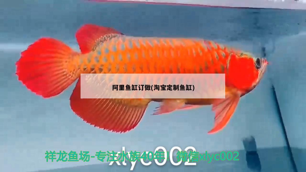 阿里鱼缸订做(淘宝定制鱼缸) 祥龙龙鱼专用水族灯