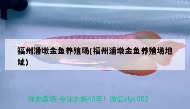 鱼缸加热棒的表面温度是多少的？，鱼缸加热棒对鱼缸加热棒的表面温度不一样的温度是多少