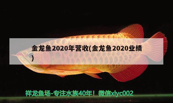 金龙鱼2020年营收(金龙鱼2020业绩)