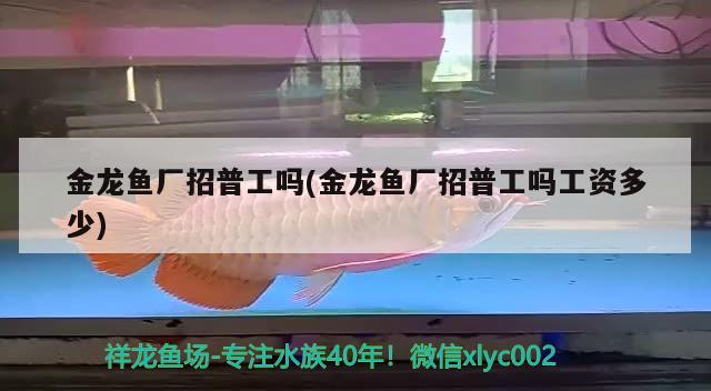 金龙鱼厂招普工吗(金龙鱼厂招普工吗工资多少) 丹顶锦鲤鱼 第2张