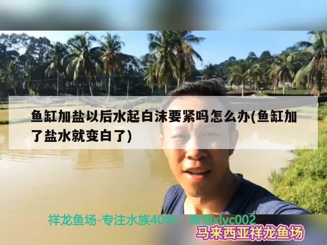 鱼缸加盐以后水起白沫要紧吗怎么办(鱼缸加了盐水就变白了)