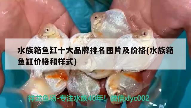 水族箱鱼缸十大品牌排名图片及价格(水族箱鱼缸价格和样式) 鱼缸/水族箱