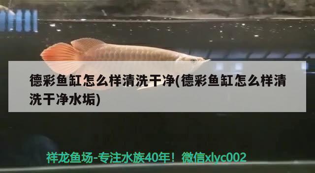 德彩鱼缸怎么样清洗干净(德彩鱼缸怎么样清洗干净水垢) 潜水泵