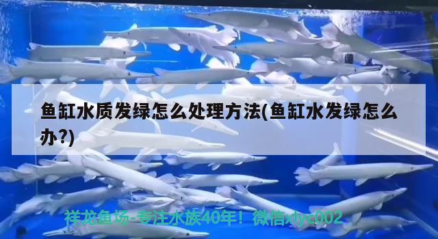 岳塘区水韵天宫水族馆（岳塘区水韵天宫水族馆地址）