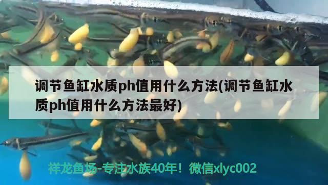 海东水族批发市场地址电话号码是多少：海东水上乐园门票多少钱