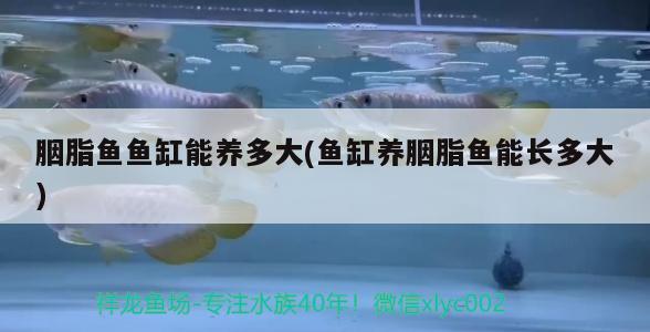 海东水族批发市场地址电话号码是多少：海东水上乐园门票多少钱