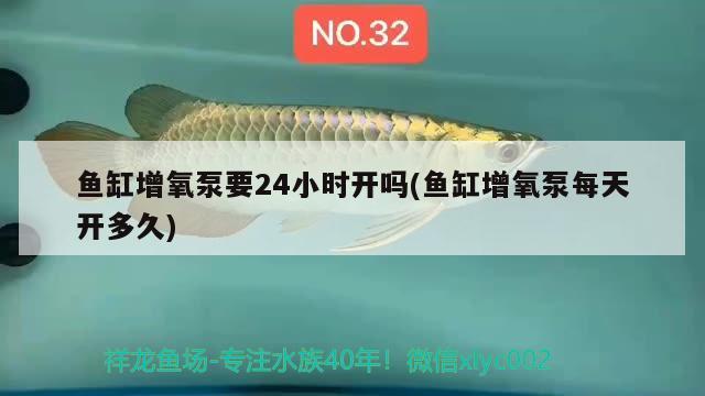 济宁哪里有卖鱼缸的？，兖州哪里有卖鱼缸的 水草 第2张