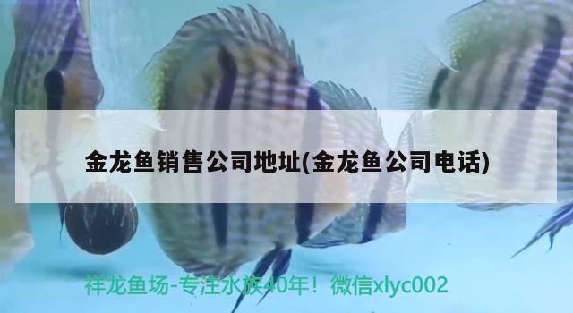 水族箱和鱼缸的区别图片(水族箱和草缸的区别)