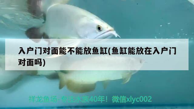 入户门对面能不能放鱼缸(鱼缸能放在入户门对面吗) 水族用品