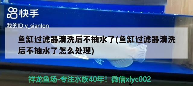 抚顺百姓网二手鱼缸转让信息（上海绘装饰设计） 一眉道人鱼 第2张