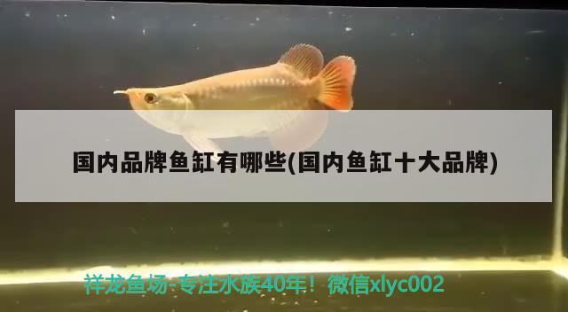 台州市椒江田园漫步水族店 全国水族馆企业名录 第2张