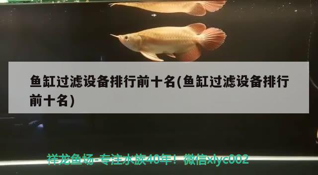 鱼缸过滤设备排行前十名(鱼缸过滤设备排行前十名)