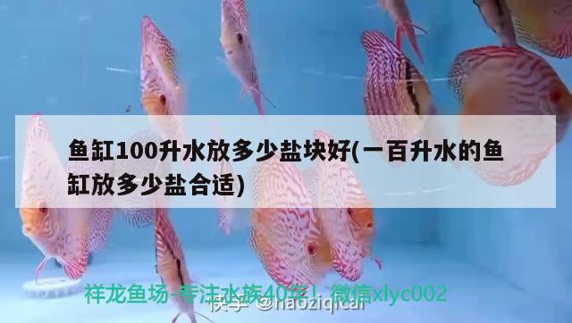 鱼缸100升水放多少盐块好(一百升水的鱼缸放多少盐合适) 星点金龙鱼