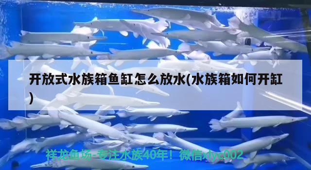 开放式水族箱鱼缸怎么放水(水族箱如何开缸) 鱼缸/水族箱 第2张