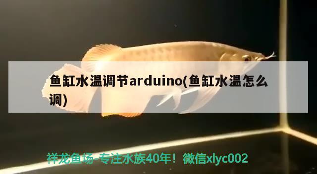 鱼缸水温调节arduino(鱼缸水温怎么调) 三间鼠鱼