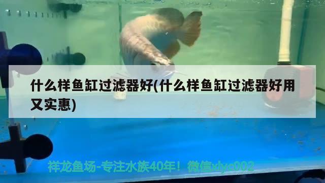 台州市椒江军兰鱼缸加工店 全国水族馆企业名录 第2张