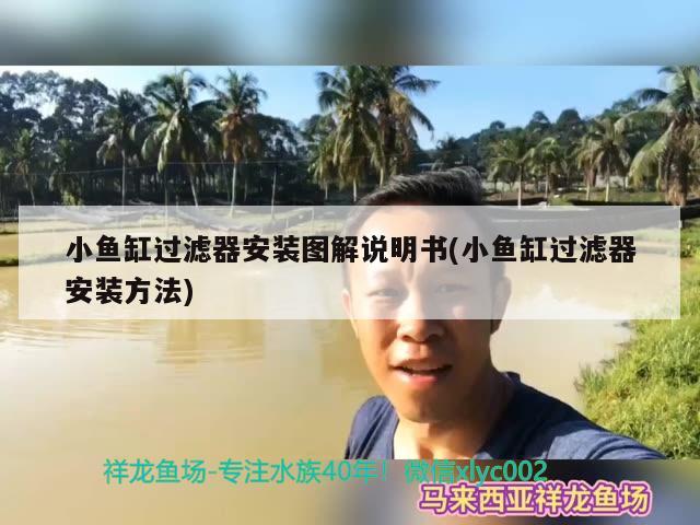 鱼缸过滤器清理视频教程全集(鱼缸过滤器怎么清洗视频) 黄金招财猫鱼 第2张