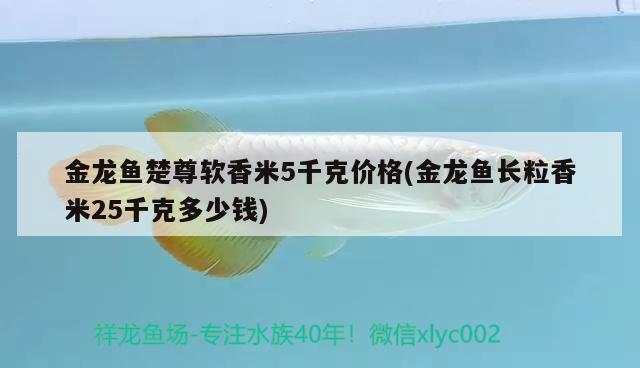 金龙鱼楚尊软香米5千克价格(金龙鱼长粒香米25千克多少钱) 斑马狗头鱼