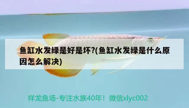 北京市海淀区远大广源工艺品市场金铁民水族用品店 全国水族馆企业名录