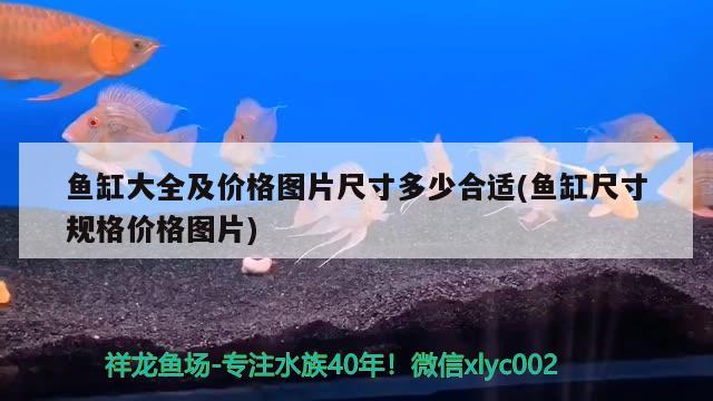 鱼缸大全及价格图片尺寸多少合适(鱼缸尺寸规格价格图片)