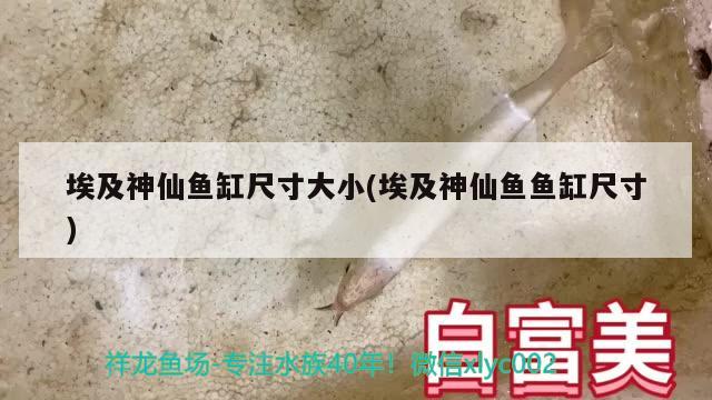 北京观赏鱼市场招聘网最新招聘电话（长城宠物水族展在什么馆） 锦鲤饲料 第1张