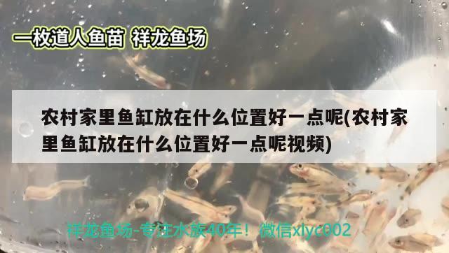 农村家里鱼缸放在什么位置好一点呢(农村家里鱼缸放在什么位置好一点呢视频)