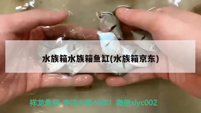 水族箱水族箱鱼缸(水族箱京东) 鱼缸/水族箱 第2张