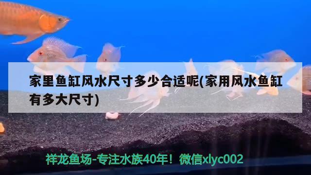 8米鱼缸的尺寸大小及选购指南鱼缸尺寸大小及选购指南，1.8米鱼缸尺寸大小及选购指南鱼缸尺寸大小及选购指南