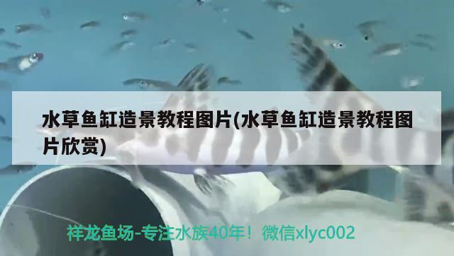 谁清楚茶几鱼缸定做一般需要多少钱，长沙鱼缸定制哪家的价格划算