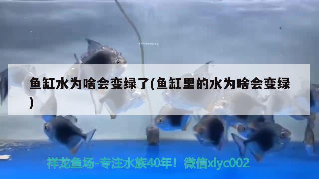 8米鱼缸的尺寸大小及选购指南鱼缸尺寸大小及选购指南，1.8米鱼缸尺寸大小及选购指南鱼缸尺寸大小及选购指南