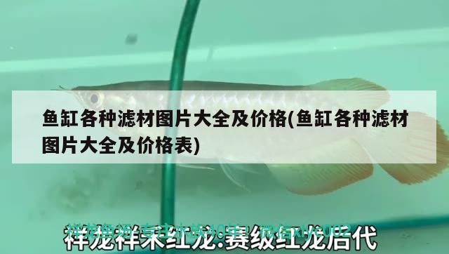 8米鱼缸的尺寸大小及选购指南鱼缸尺寸大小及选购指南，1.8米鱼缸尺寸大小及选购指南鱼缸尺寸大小及选购指南